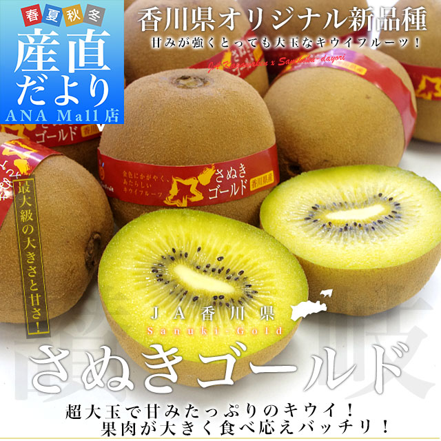香川県より産地直送 JA香川県 キウイフルーツ さぬきゴールド 秀品 1.3キロ化粧箱(7玉から9玉)送料無料(離島などの一部地域を除く)