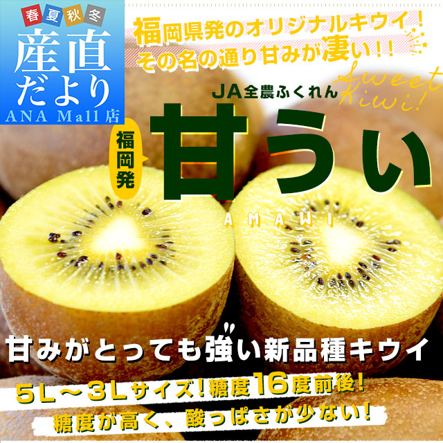 福岡県産JA全農ふくれん 福岡オリジナルキウイ 甘うぃ（あまうぃ）A品 1.3キロ以上　化粧箱（3Lから5Lサイズ9玉から10玉入り）送料無料 キウイフルーツ 送料無料(離島などの一部地域を除く)