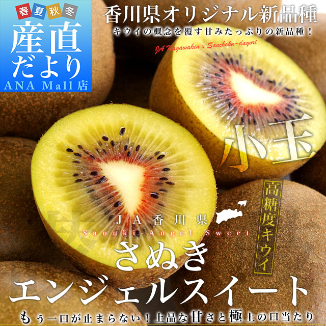 香川県より産地直送 JA香川県 キウイフルーツ さぬきエンジェルスイート小玉 約1.4キロ （28玉前後） キウイフルーツ 送料無料(離島などの一部地域を除く)