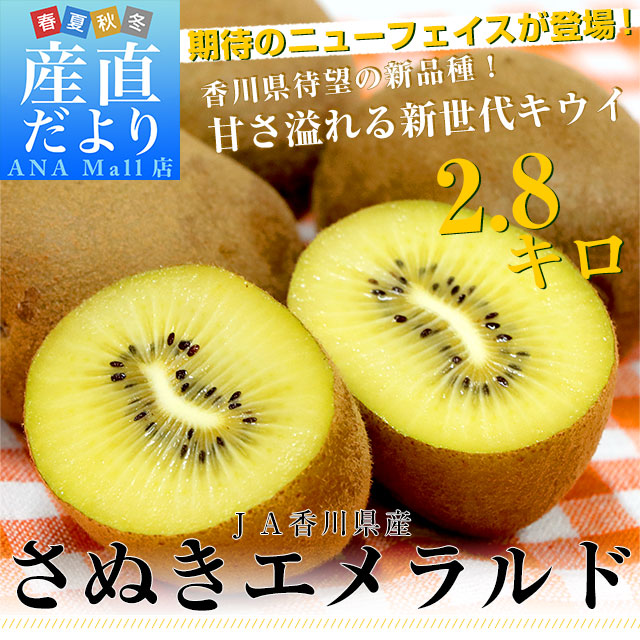 香川県より産地直送 JA香川県 さぬきエメラルド 約2.8キロ(20から24玉前後) 国産キウイフルーツ 送料無料(離島などの一部地域を除く) きうい キウイフルーツ