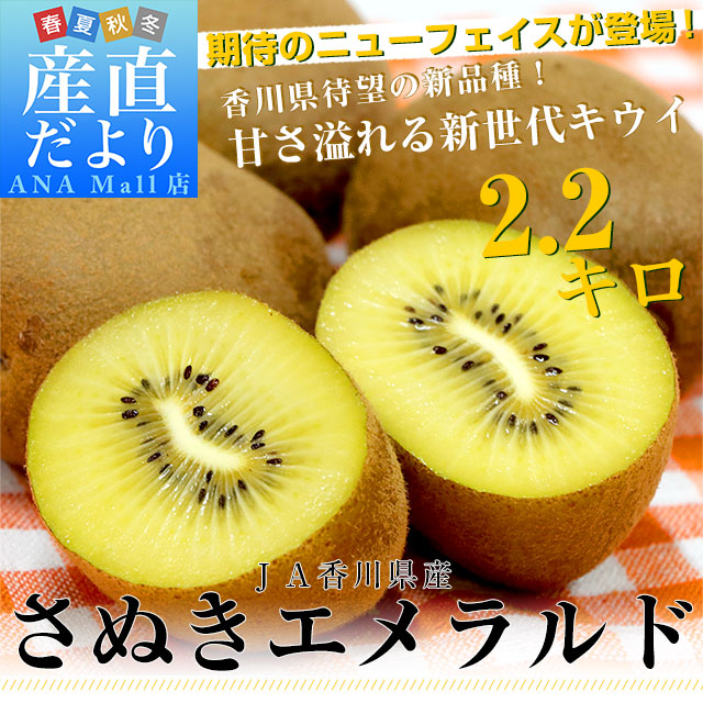 香川県より産地直送 JA香川県 さぬきエメラルド 小玉 約2.2キロ(28玉) 国産キウイフルーツ 送料無料(離島などの一部地域を除く) きうい キウイフルーツ