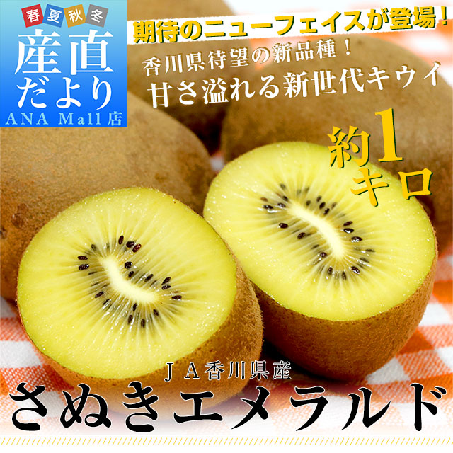 香川県より産地直送 JA香川県 さぬきエメラルド 約1キロ(6玉から9玉前後) 国産キウイフルーツ 送料無料(離島などの一部地域を除く)  きうい キウイフルーツ
