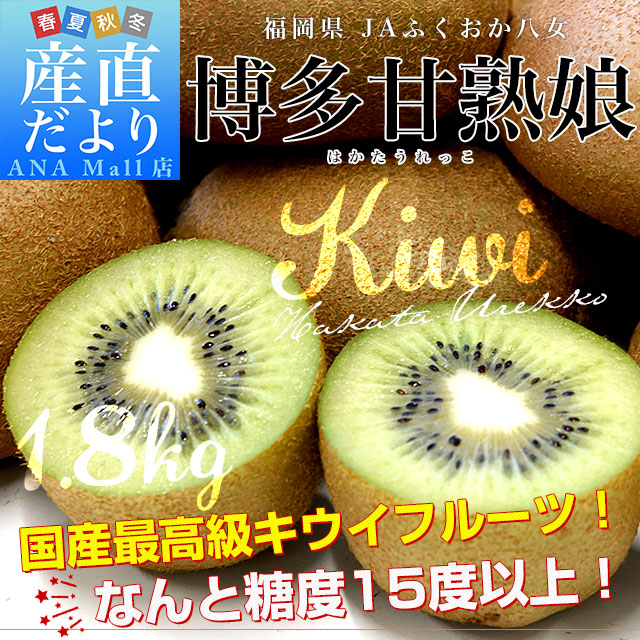 福岡県 JAふくおか八女 博多甘熟娘（はかたうれっこ）約1.8キロ 化粧箱（15玉入り）送料無料(離島などの一部地域を除く) キウイ グリーンキウイ ヘイワード