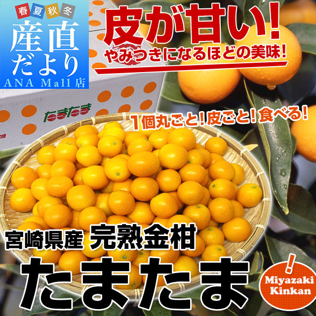 宮崎県から産地直送 JAみやざき宮崎中央地区本部 たまたま 2Lサイズ 3キロ (約120玉) 送料無料 きんかん 金柑 完熟きんかん 送料無料(離島などの一部地域を除く)