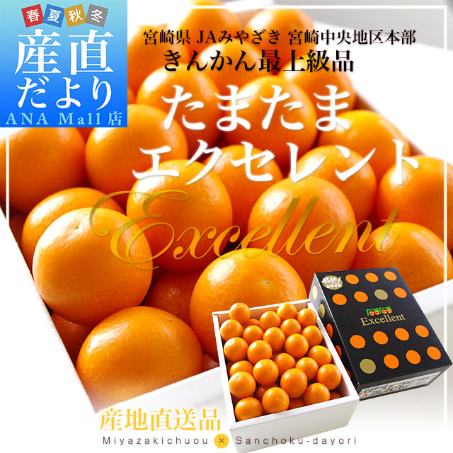 宮崎県から産地直送 JA宮崎中央 たまたま エクセレント 2Lサイズ 1キロ (約40玉) 送料無料(離島などの一部地域を除く) きんかん EX 金柑 完熟きんかん