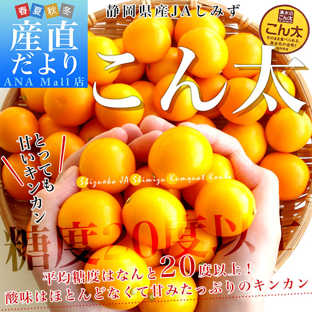 静岡県産 JAしみず こん太きんかん 超大玉4L以上 秀品 約1キロ 金柑 キンカン 送料無料