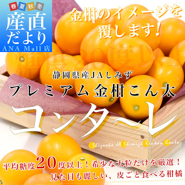 静岡県 JAしみず 金柑「コンターレ」赤秀品 約1キロ 3Lサイズ以上 送料無料(離島などの一部地域を除く) きんかん 柑橘 こん太 市場発送
