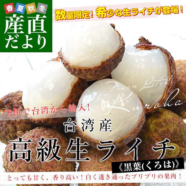 饤