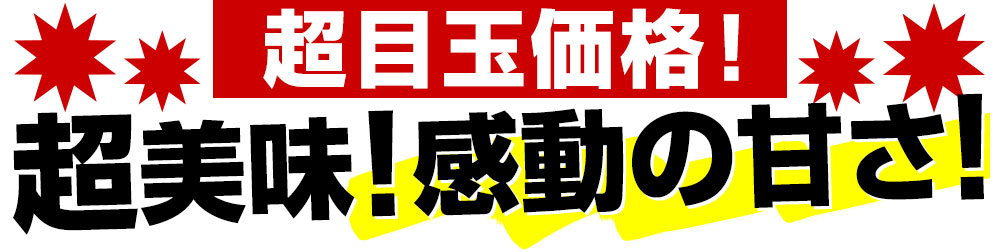 沖縄県より産地直送 JAおきなわ 完熟沖縄マンゴー 約1.5キロ (3玉から6