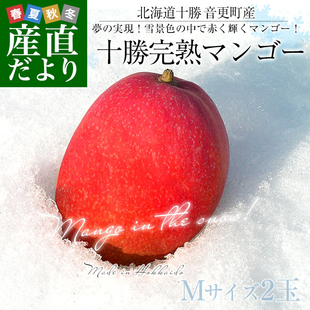 ޥ󥴡M2