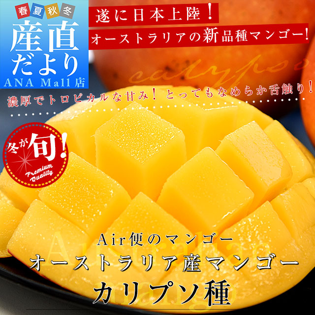 オーストラリア マンゴー1.2キロ