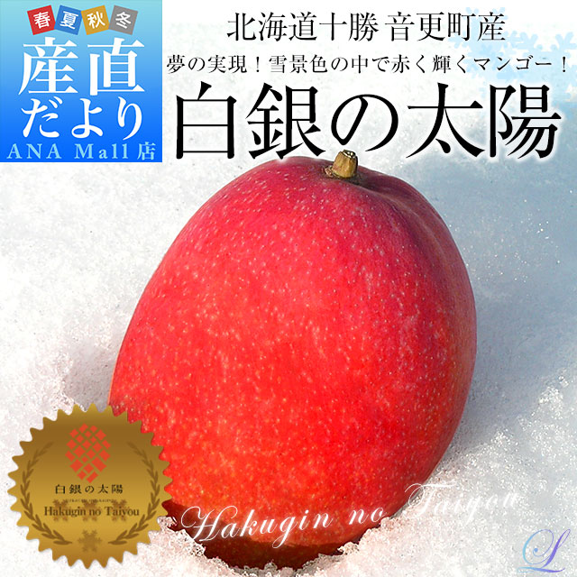 北海道産 完熟マンゴー「白銀の太陽」Lサイズ1玉(310gから349g)まんごー 送料無料(離島などの一部地域を除く)