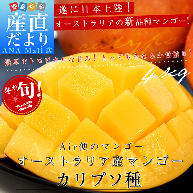 オーストラリア産 マンゴー カリプソ種 約4キロ (10玉から11玉) 送料無料(離島など一部地域を除く)マンゴー トロピカルフルーツ