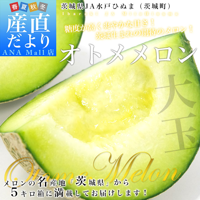 水戸ひぬまオトメメロン