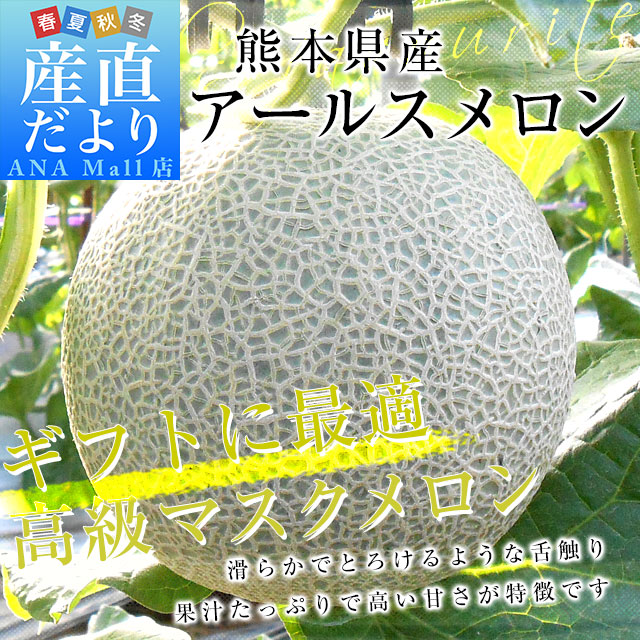 【お歳暮 ギフト】熊本県産 アールスメロン　約3.5キロ 化粧箱(２玉入り) 送料無料(離島などの一部地域を除く) めろん