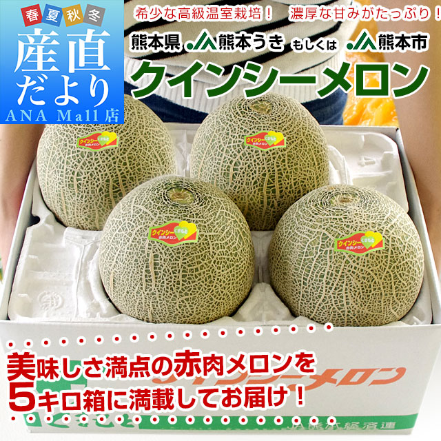 熊本県産 JA熊本うき又はJA熊本市 クインシーメロン 3Lから2Lサイズ 秀品 5キロ箱 (4玉から5玉) 送料無料(離島などの一部地域を除く) メロン 赤肉