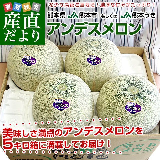 ���ܥ���ǥ������