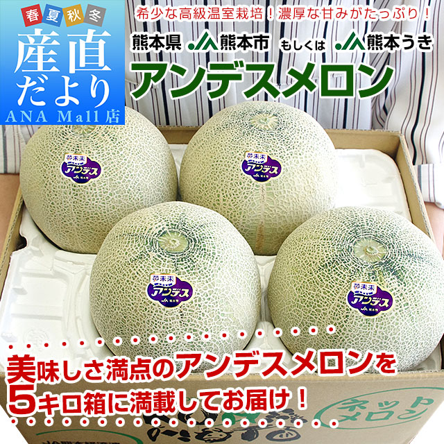 熊本県産 JA熊本市又はJA熊本うき アンデスメロン 3Lから2Lサイズ 秀品 5キロ箱 (4玉から5玉入り) 送料無料 (離島などの一部地域を除く) メロン 青肉