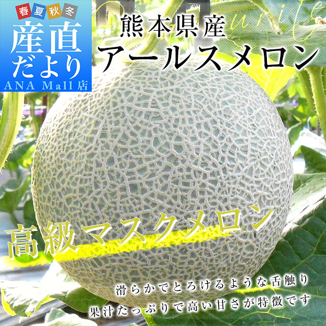 熊本県産 大玉アールスメロン　約8キロ原体箱（4玉入）送料無料(離島などの一部地域を除く) めろん アールスメロン マスクメロン