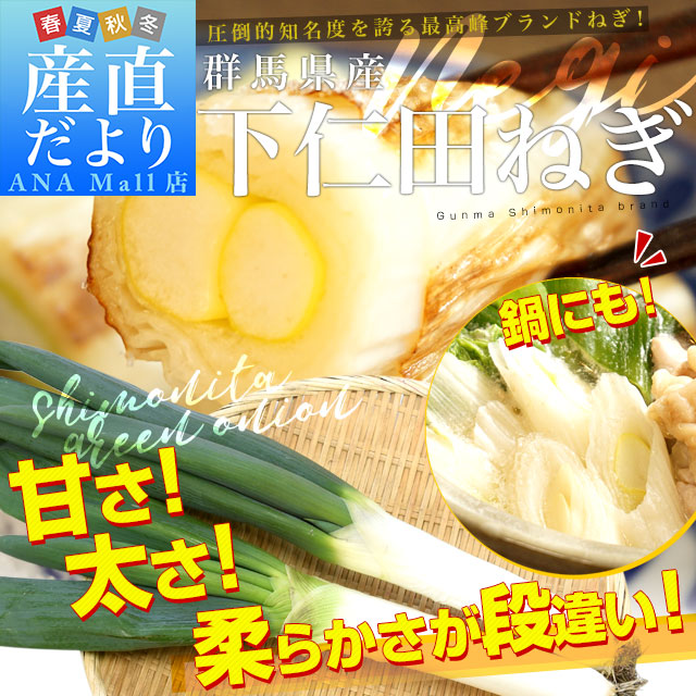 群馬県産 JA全農ぐんま 下仁田ねぎ 約4キロ(3Lから2L 15本から20本) 送料無料 市場発送 葱 ネギ 長ネギ しもにた クール便