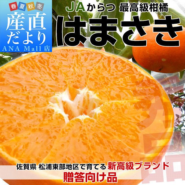 佐賀県産JAからつ はまさき 秀品 LからSサイズ 約2.5キロ (12玉から18玉前後) 送料無料(離島などの一部地域を除く) 唐津 浜崎