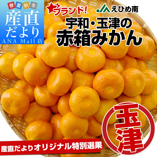 愛媛県より産地直送 JAえひめ南 玉津共選場 玉津の赤箱みかん 小玉 LからMサイズ 5キロ 送料無料 (離島などの一部地域を除く) 蜜柑 みかん