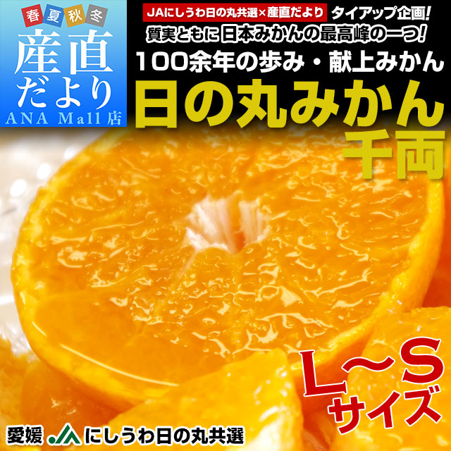 【お歳暮 ギフト】愛媛県より産地直送 JAにしうわ 日の丸みかん 千両 LからSサイズ 5キロ(40玉から60玉) 送料無料（離島など一部地域を除く） 蜜柑 ミカン
