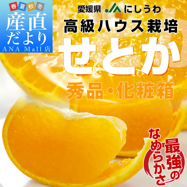 愛媛県 JAにしうわ 高級ハウス栽培 せとか 秀品 3LからLサイズ 3キロ化粧箱 （10玉から15玉） 送料無料(離島などの一部地域を除く) セトカ 西宇和