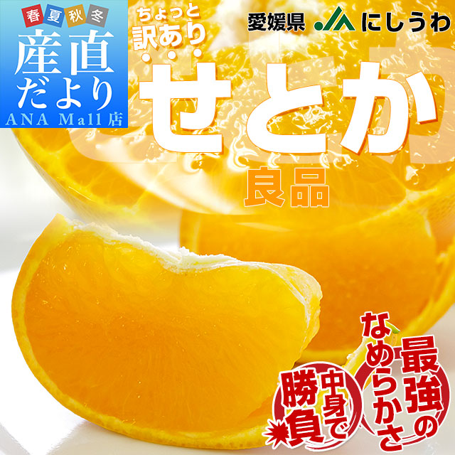 【決算特別価格!】愛媛県 JAにしうわ せとか 良品 ちょっと訳あり 約2.5キロ 3LからLサイズ (8玉から13玉) 送料無料(離島などの一部地域を除く) セトカ 西宇和