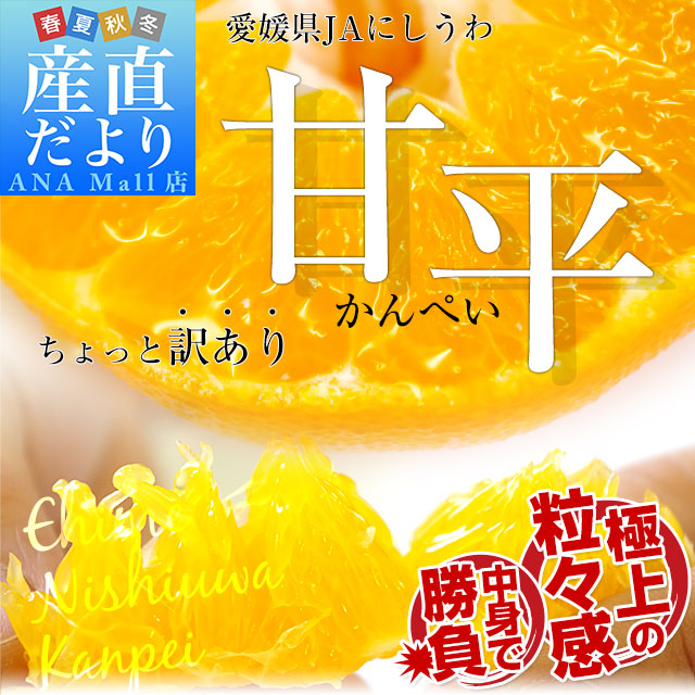 愛媛県 JAにしうわ 甘平(かんぺい) ちょっと訳あり 良品 3LからLサイズ 約2.5キロ(6玉から13玉) 送料無料(離島などの一部地域を除く) カンペイ 西宇和