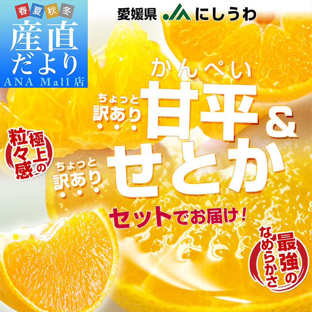 愛媛県産 JAにしうわ 甘平＆せとかセット 良品 ちょっと訳あり 合計5キロ（2.5キロ×2箱）かんぺい セトカ 送料無料（離島など一部地域を除く） 西宇和 八幡浜