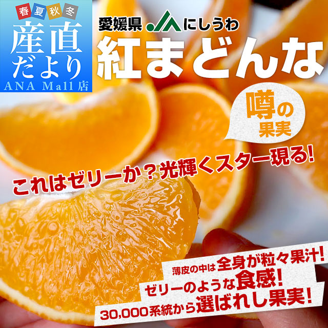 愛媛県より産地直送 JAにしうわ 紅まどんな 2LからLサイズ 3キロ(12玉から15玉) オレンジ おれんじ  送料無料(離島などの一部地域を除く)　ギフト お歳暮