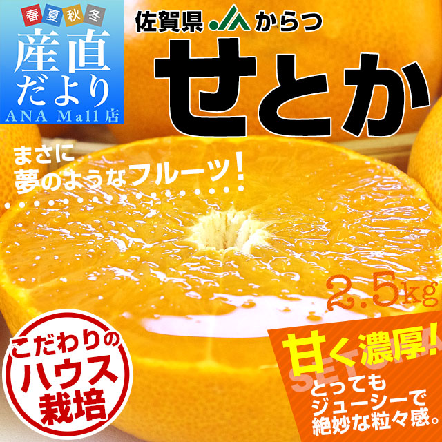 佐賀県産  JAからつ せとか 秀品 2.5キロ 化粧箱入(12から15玉) 送料無料(離島などの一部地域を除く) 唐津