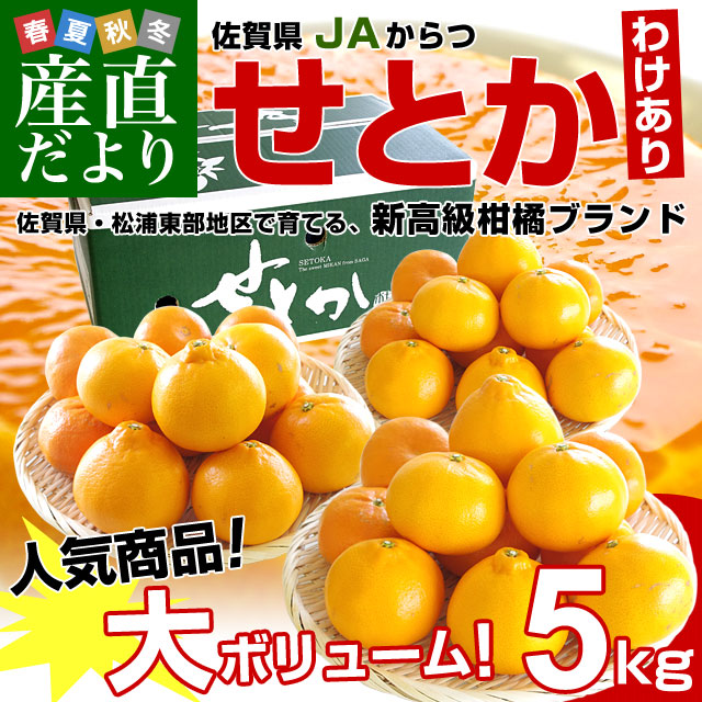 2026年発送】佐賀県産 JAからつ せとか 訳あり Mから2Lサイズ 5キロ箱