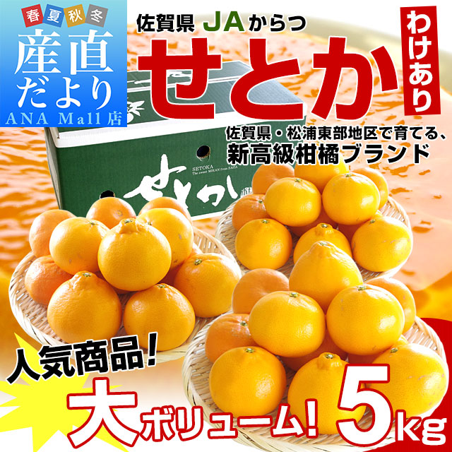 佐賀県産  JAからつ せとか 訳あり Mから2Lサイズ 5キロ箱(18玉から32玉前後)  送料無料(離島などの一部地域を除く)  唐津