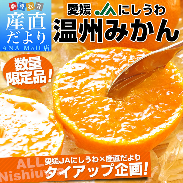 愛媛県より産地直送 JAにしうわ 西宇和みかん LからSサイズ 5キロ (約40から60玉) 送料無料(離島などの一部地域を除く) ミカン 蜜柑