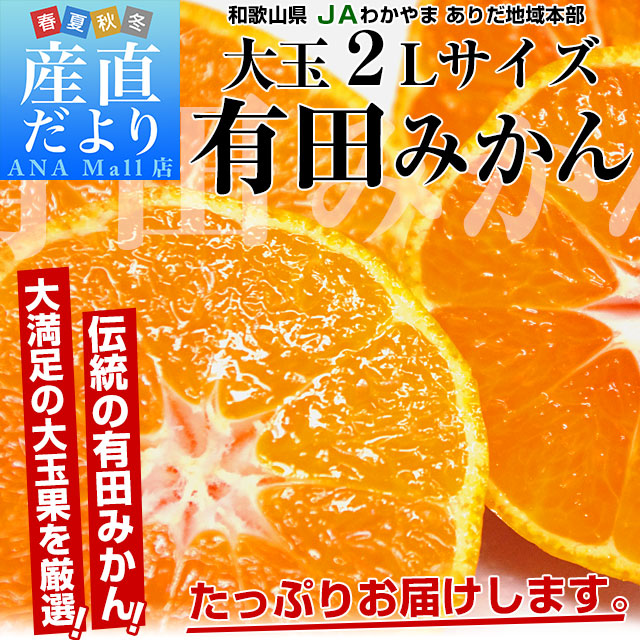 和歌山県より産地直送 JAわかやま ありだ地域本部 有田みかん 大玉 2Lサイズ 4.5キロ(30玉前後) 送料無料(離島などの一部地域を除く) 蜜柑 ミカン お歳暮 御歳暮