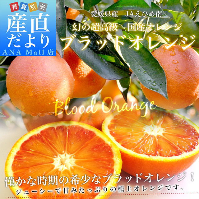 愛媛県より産地直送 JAえひめ南 ブラッドオレンジ  優品 5キロ (30玉から35玉前後) 柑橘 国産オレンジ 国産ブラッド 送料無料(離島などの一部地域を除く)