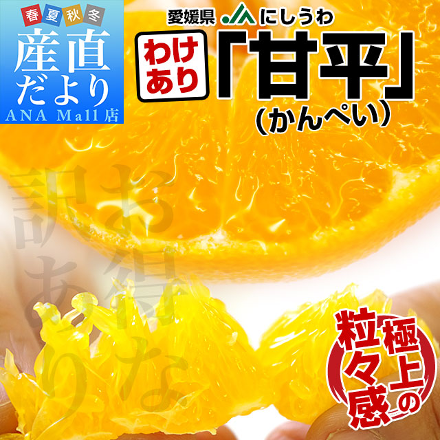 愛媛県産　JAにしうわ　訳あり甘平（かんぺい）約5キロ　4LからL（15玉から28玉前後）市場スポット みかんミカン　送料無料(離島などの一部地域を除く)