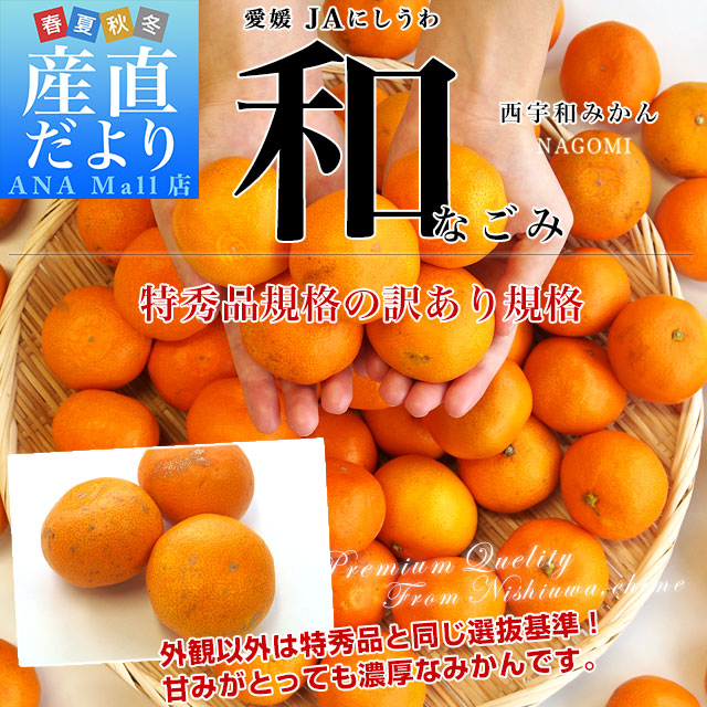 愛媛県より産地直送 JAにしうわ みなの共選 西宇和みかん 和 (なごみ) LからSサイズ約5キロ(40玉から60玉前後) 送料無料 (離島など一部地域を除く)蜜柑 ミカン