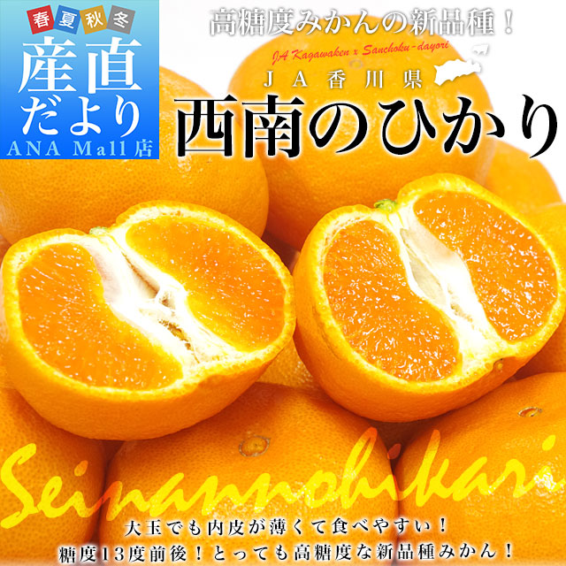 香川県より産地直送 JA香川県 高糖度みかん「西南のひかり」2LからMサイズ 5キロ (25から35玉前後) 送料無料(離島などの一部地域を除く) みかん 蜜柑 新品種 糖度13度前後 讃岐 さぬき
