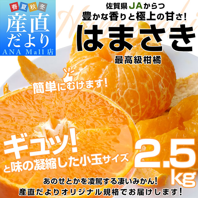 佐賀県産 JAからつ はまさき 小玉 SSサイズ 2.5キロ (20から25玉前後) 送料無料(離島などの一部地域を除く) 唐津 浜崎