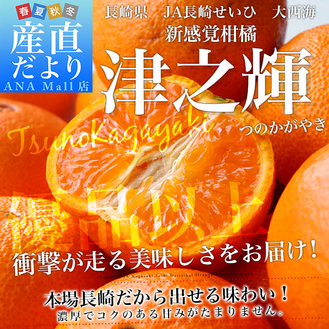 長崎県より産地直送 JA長崎せいひ 津之輝(つのかがやき) 3LからLサイズ 優品以上 2.5キロ (10玉から25玉)