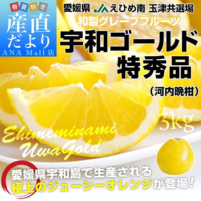愛媛県より産地直送 JAえひめ南 玉津共選場 宇和ゴールド 特秀品 2LからLサイズ 3キロ化粧箱 (9玉から12玉) 送料無料(離島などの一部地域を除く) 柑橘 オレンジ 河内晩柑 宇和島 吉田町