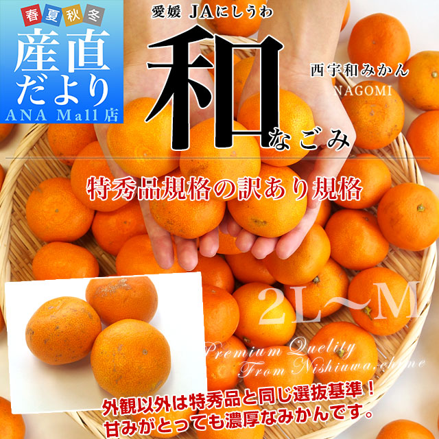 愛媛県より産地直送 JAにしうわ みなの共選 西宇和みかん 和 (なごみ) 2Lサイズ 約5キロ(35玉前後) 送料無料 (離島など一部地域を除く)蜜柑 ミカン