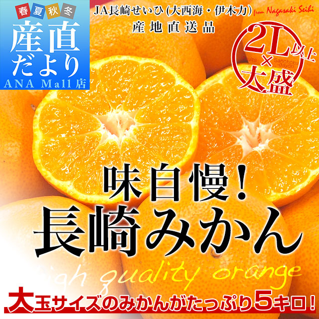 長崎県より産地直送 JA長崎せいひ 長崎みかん ２L以上の大玉 5キロ（20玉から35玉前後） 蜜柑 ミカン　送料無料　御歳暮 お歳暮
