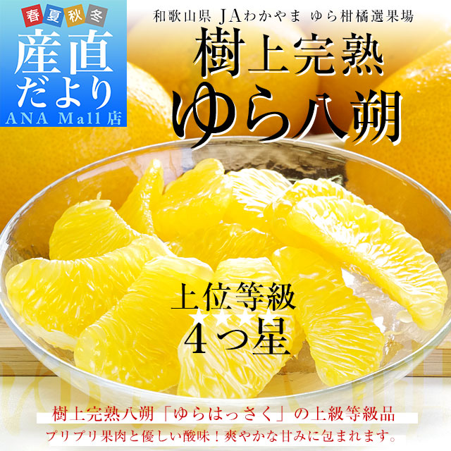和歌山県産 JAわかやま ゆら選果場 ゆら八朔 上級等級:4つ星 2LからLサイズ 約3キロ (10玉から12玉) 送料無料(離島などの一部地域を除く) 由良はっさく 市場発送