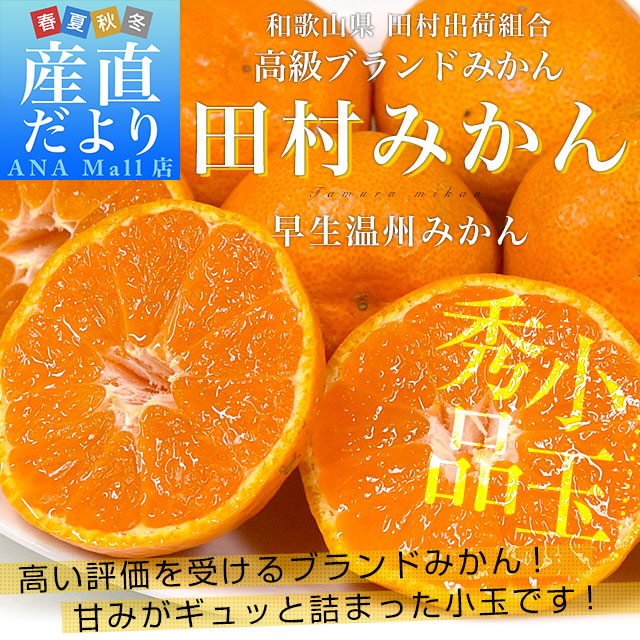 和歌山県より産地直送 田村出荷組合 田村みかん(早生温州みかん) 秀品 2Sサイズ 小玉5キロ(70玉前後)送料無料 (離島などの一部地域を除く) 有田 柑橘