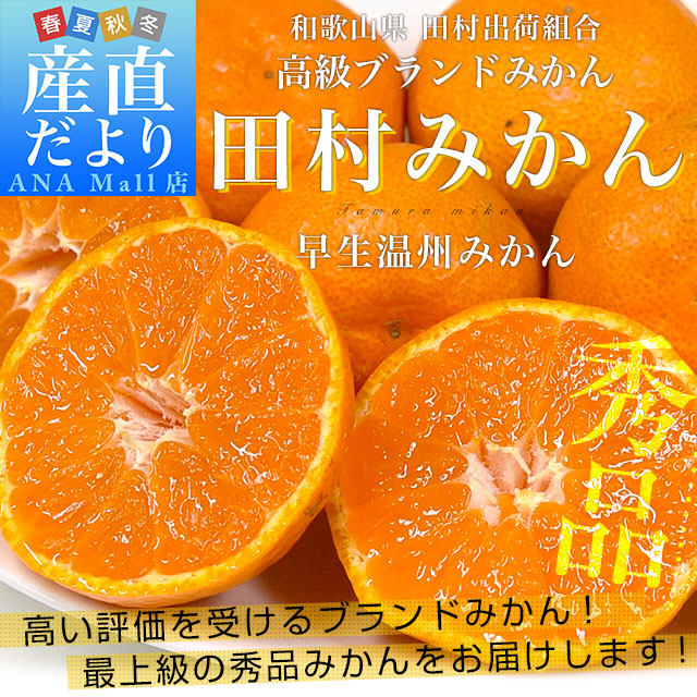 和歌山県より産地直送 田村出荷組合 田村みかん(早生温州みかん) 秀品 LからSサイズ 5キロ(40玉から60玉前後)送料無料(離島などの一部地域を除く) 有田 柑橘