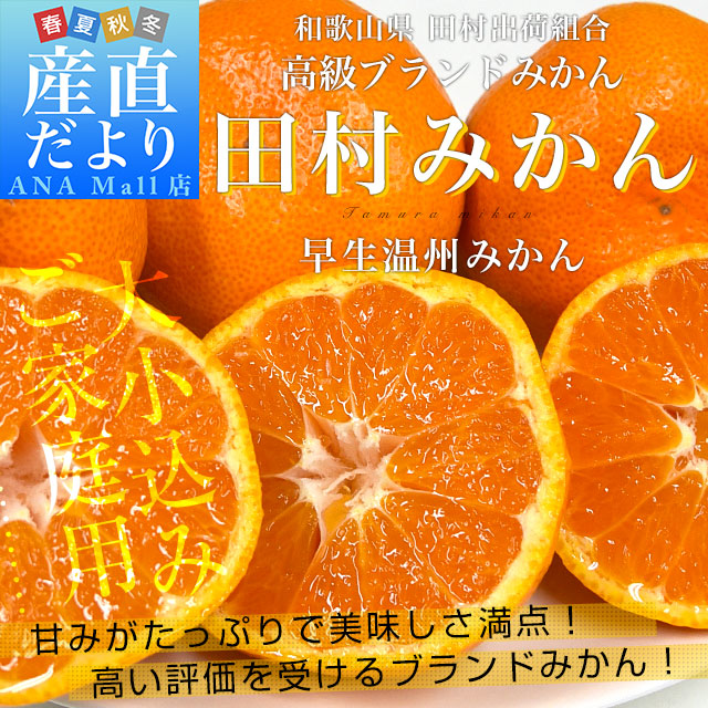 和歌山県より産地直送 田村出荷組合 田村みかん(早生温州みかん) ご家庭用5キロ(大小込み) 送料無料 (離島などの一部地域を除く) 有田 柑橘